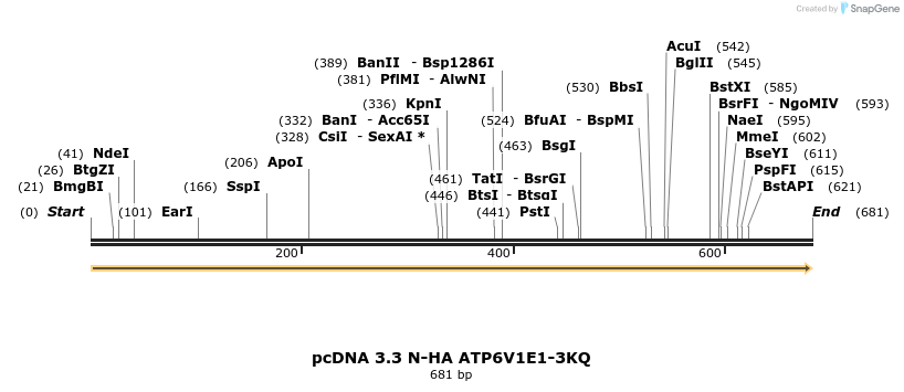 484111_map
