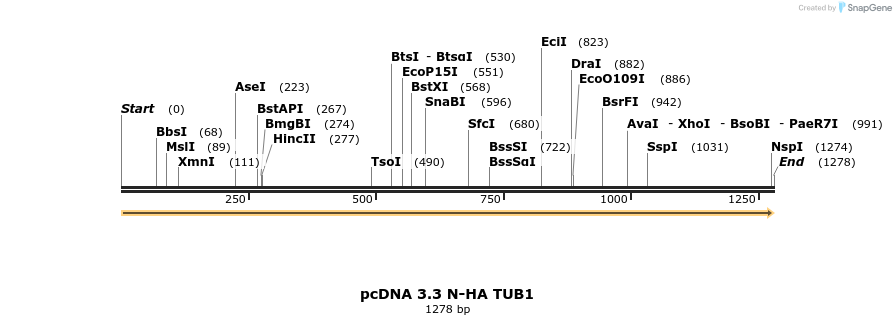 484115_map