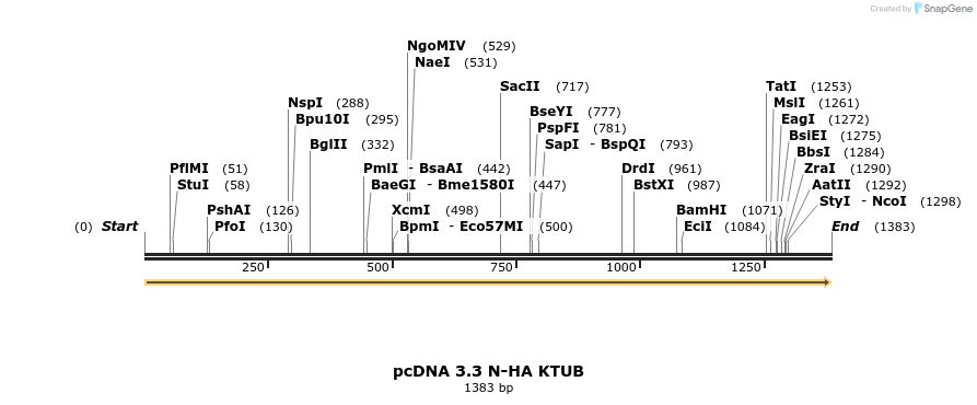 484117_map