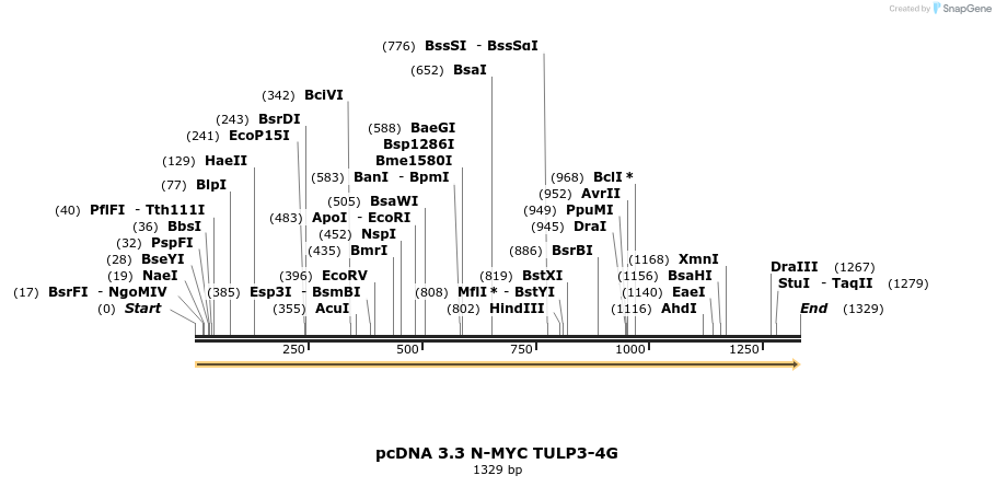 484119_map