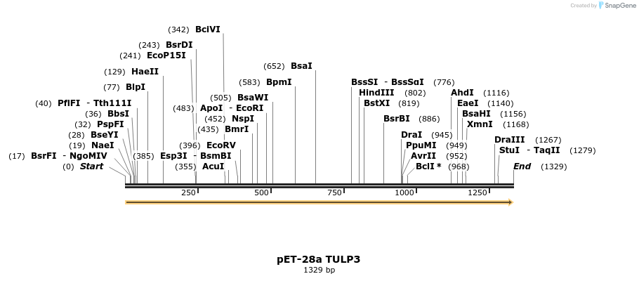 484121_map