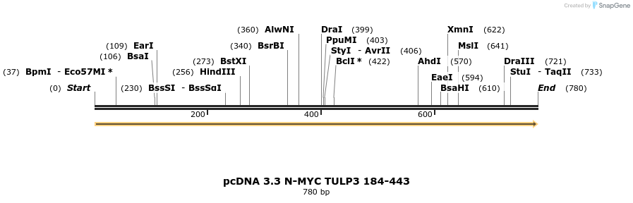 484123_map