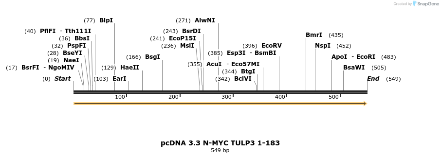 484125_map