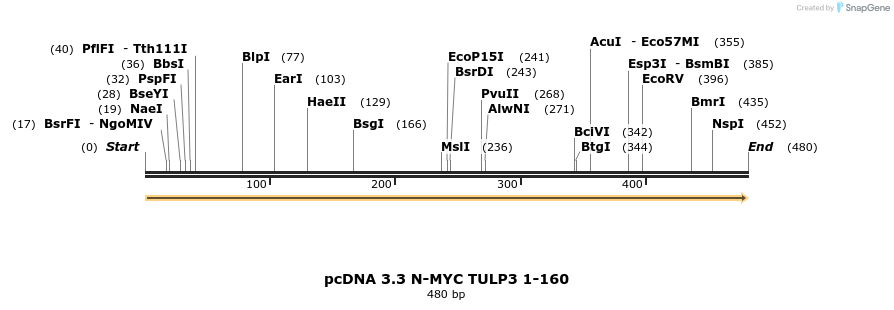 484127_map