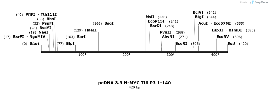 484129_map