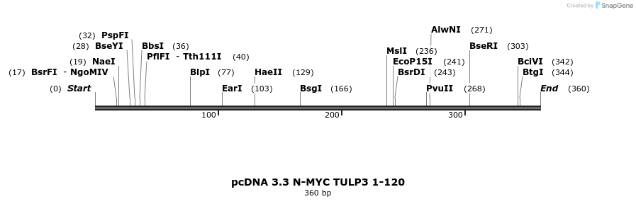 484131_map