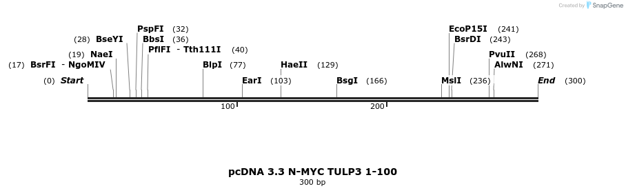 484133_map