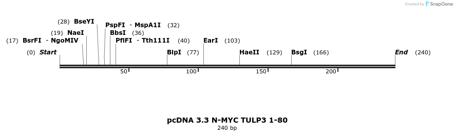 484135_map