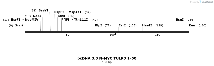 484137_map