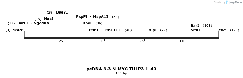 484139_map