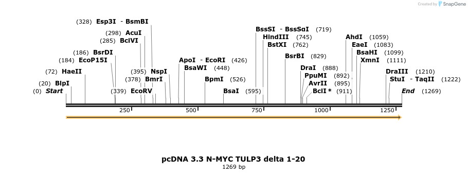 484141_map