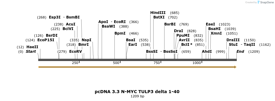 484143_map