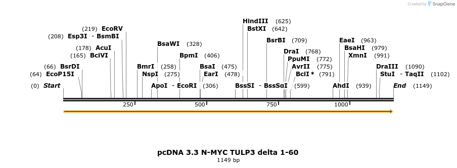 484145_map