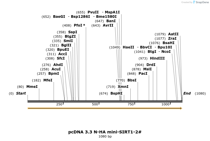 484149_map