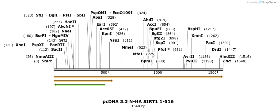 484153_map
