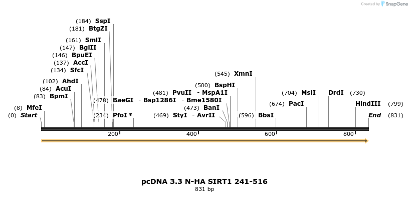 484155_map
