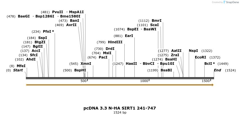 484157_map