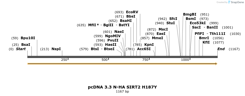 484161_map