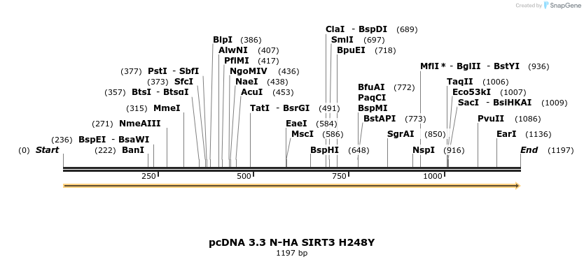 484163_map