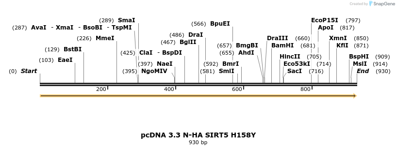 484167_map