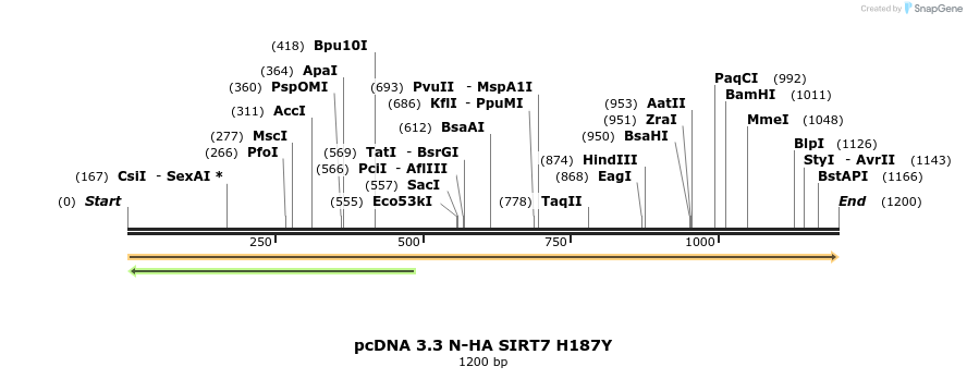 484171_map