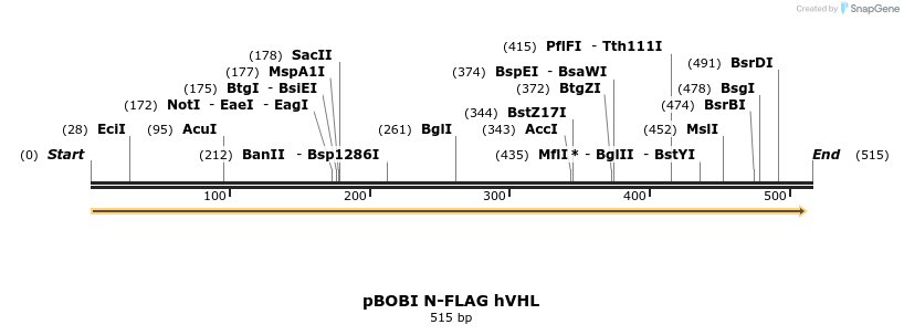484175_map