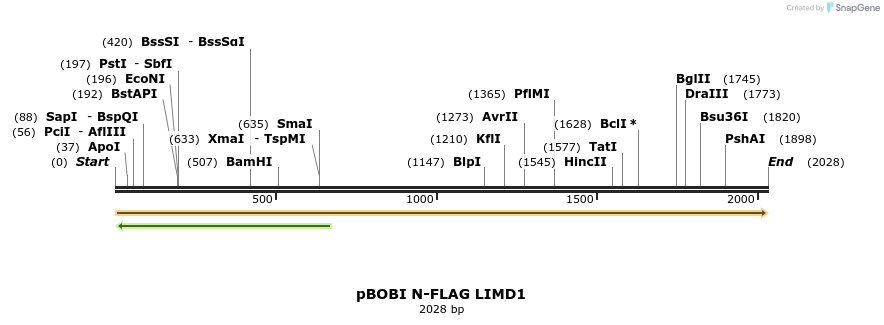 484179_map