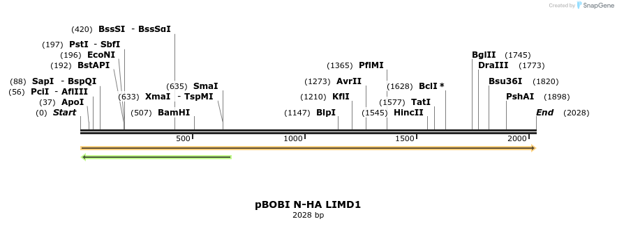 484181_map