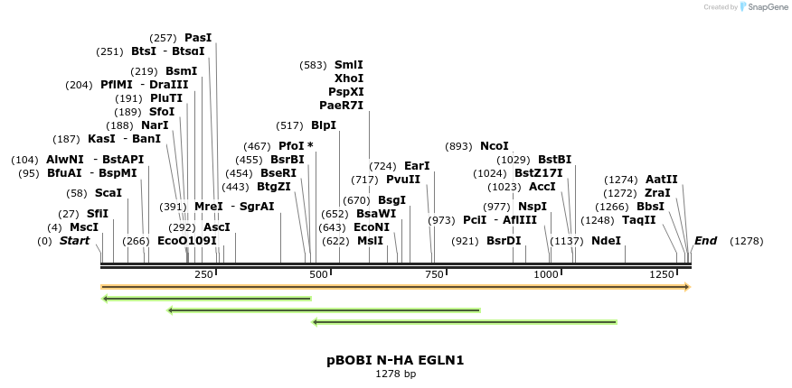 484187_map