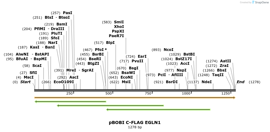 484189_map