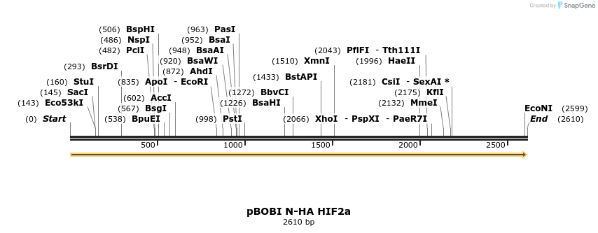 484191_map