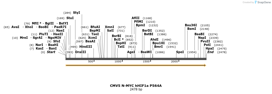 484203_map
