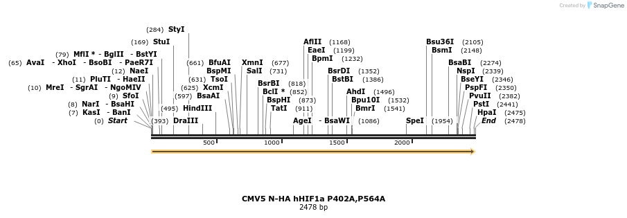 484205_map