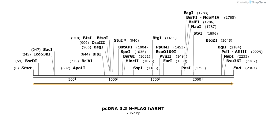 484207_map