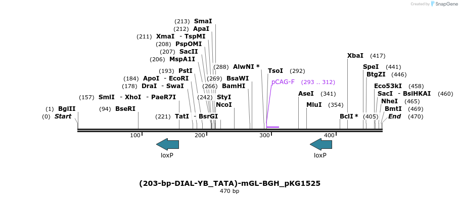 484317_map