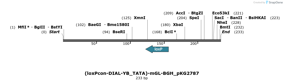 484319_map