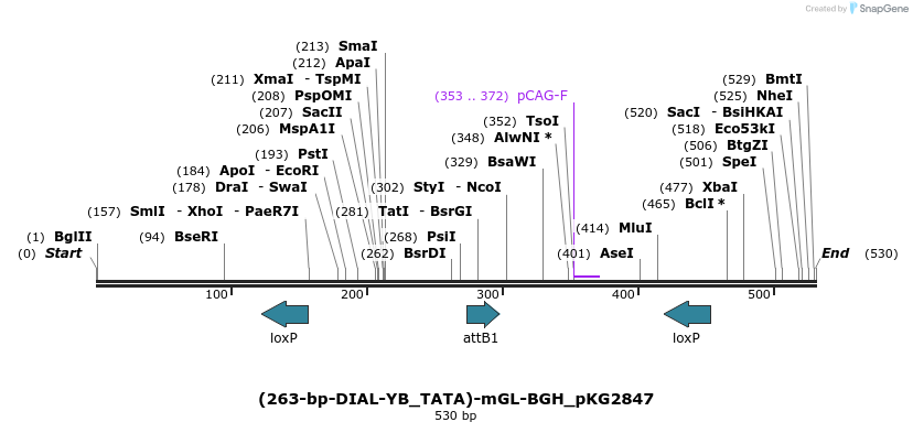 484327_map