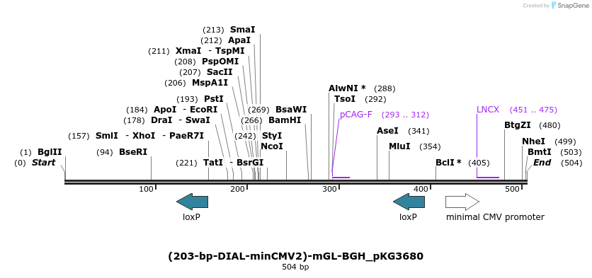 484335_map