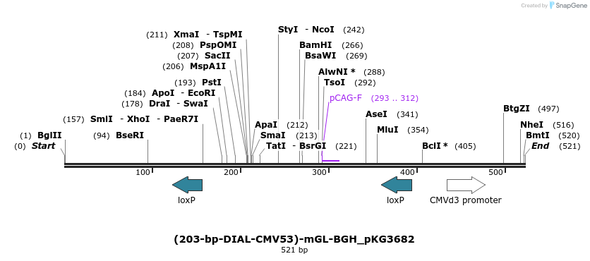 484341_map