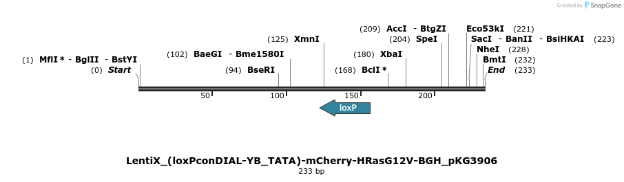 484355_map
