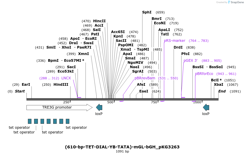 484377_map