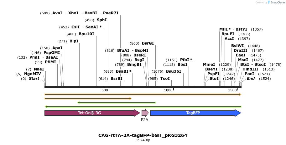 484395_map