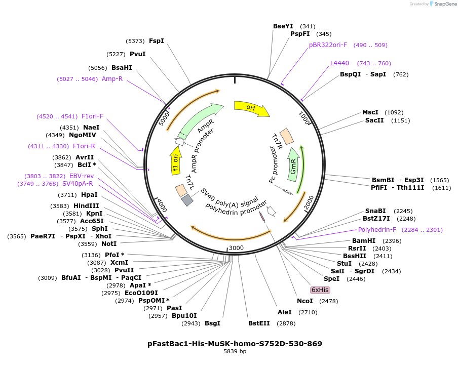 484507_map