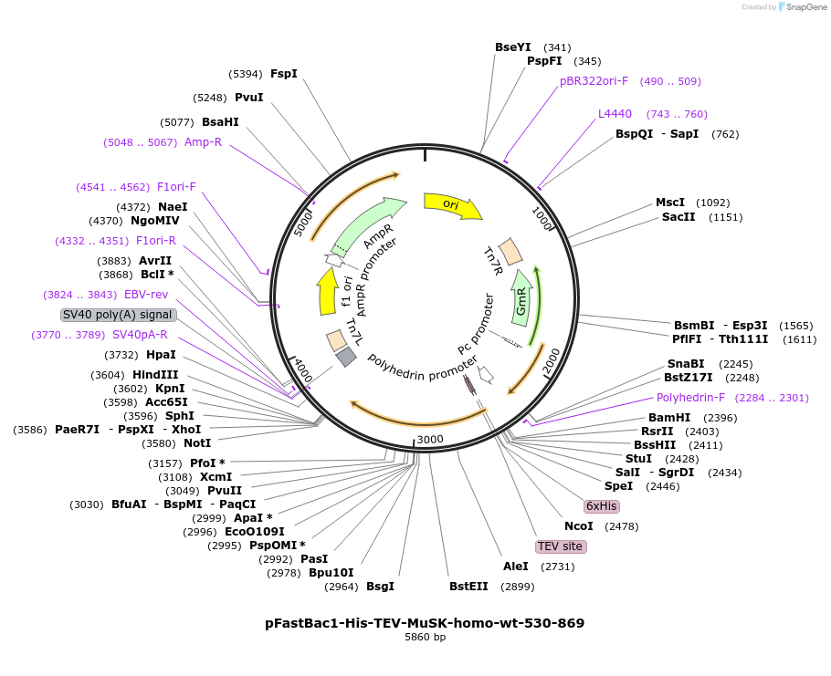 484509_map