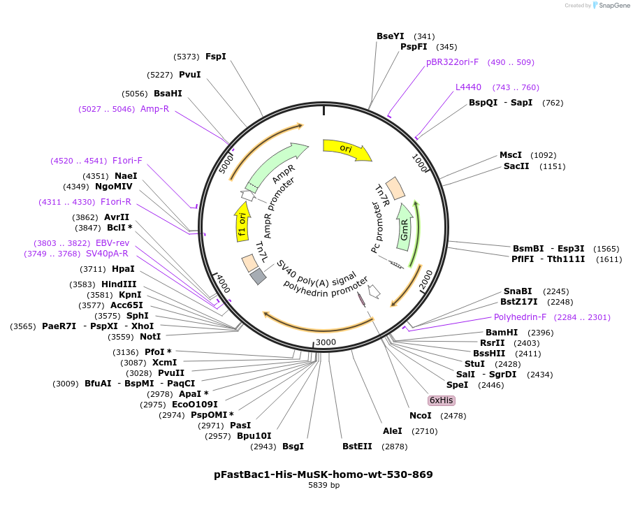 484510_map