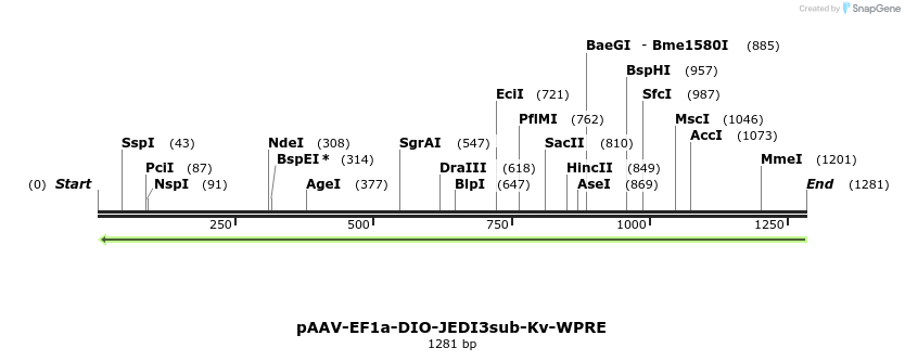 484882_map