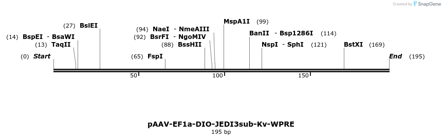 484883_map