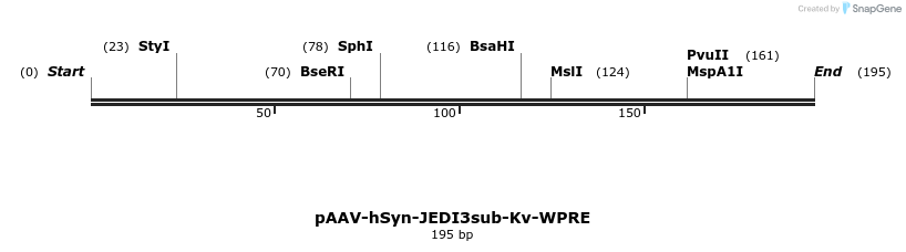 484888_map