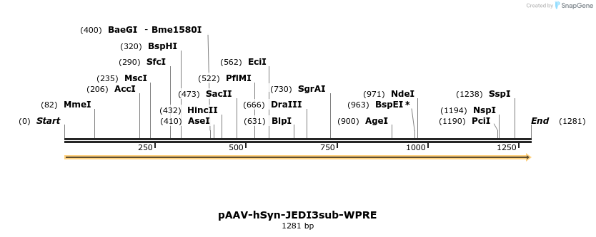 484890_map