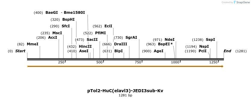 484896_map
